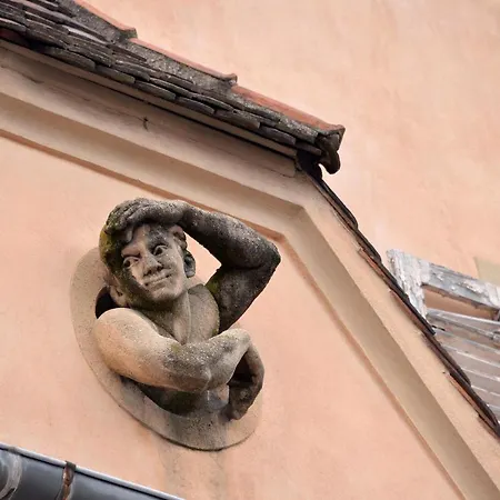 Apartment Au Grenier A Sel 